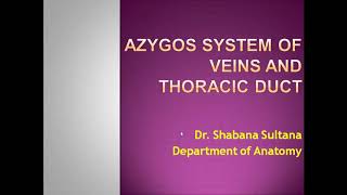 Dr Shabana Azygos system of veins and Thoracic duct [upl. by Richard709]