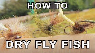 Dry Fly Fishing  How To with Tom Rosenbauer [upl. by Bakeman810]