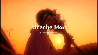 Ureche Mon❤️ Arijit Singh  New Bengali Slowed Reverb Lofi Song [upl. by Leesa66]