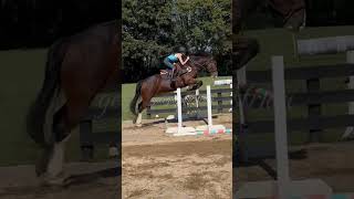 Moving up this weekend please pray for me😭🙏 jesuslovesyou horse novice terrified [upl. by Ainnos]