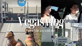 Vegas Vlogs  Day in my life [upl. by Pratte]