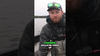 Master Fall Walleye Fishing Tips for Success [upl. by Anilah479]