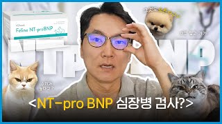 NTproBNP 검사 왜 심장병일 때 할까👨🏻‍⚕️｜검사 비용이 부담된다면｜심장병 검사｜심장초음파｜Troponin I검사란💙 [upl. by Cissie]