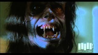 Werewolf transformation  The Howling 1981 [upl. by Llerad]