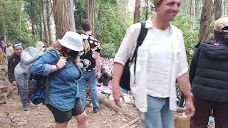 Commodores Concert at Stern Grove Part 9 quotBrick Housequot San Francisco July 14 2024 [upl. by Rabbi]