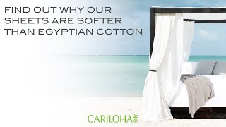 Softer Than 1000 ThreadCount Egyptian Cotton  Cariloha Bamboo Sheets [upl. by Klump794]