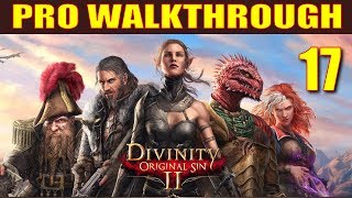 Divinity Original Sin 2 Walkthrough Tactician Part 17  Turtle Soup Level 5 Migo Fight [upl. by Allegra600]