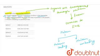 According to the pressure flow hypothesis A Phloem loading produc [upl. by Fee228]