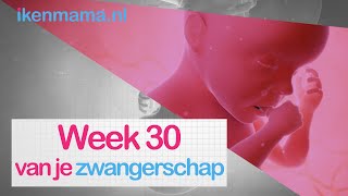 30 weken zwanger  ikenmamanl [upl. by Johny706]