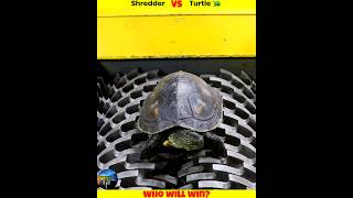 Shredder Vs Turtle 🐢 And Strongest Bone [upl. by Haliehs]