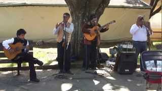 Traditional Chilean Music in Puerto Varas [upl. by Cramer]