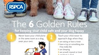 RSPCA Video  Keeping our children safe and our dogs happy [upl. by Yort27]