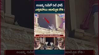 iSmart News  అంజన్న గుడిలో సెల్ ఫోన్ ఎత్తుకపోయి ఆటాడిచ్చిన కోతి   Monkey Cellphone  TV9 [upl. by Mcripley702]