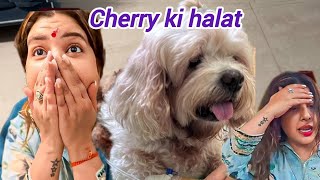 Cherry k 2nd dr ne kya kaha😮drip k bad condition sambhavna seth entertainment sambhavna seth vlog [upl. by Adnala]