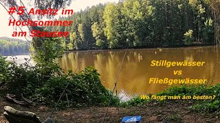 5 Stillgewässer vs Fließgewässer  Feedern im Hochsommer  Teil 3 Stausee [upl. by Pillyhp209]