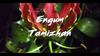 Tamil Eelam Song  Engum Tamizhan [upl. by Mcloughlin]