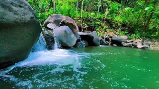 Gentle Stream Sounds Relaxing River Sounds Peaceful Forest River For Relax Insomnia Stress Relief [upl. by Mota]