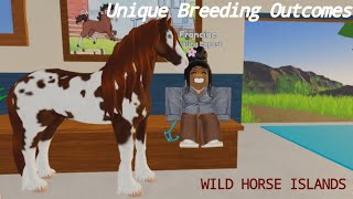 Unique OutcomesSpecial Coats  Combinations amp Breeding WHIWILD HORSE ISLANDS [upl. by Lyle546]