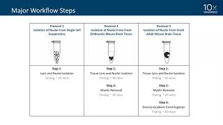 10xpert Workshop  How to Single Nuclei RNAseq [upl. by Sublett]