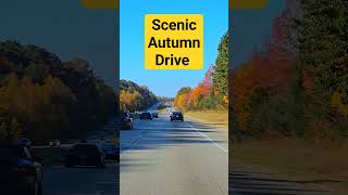 A Scenic Autumn Drive near WinstonSalem NC A Breathtaking Journey [upl. by Malinde]