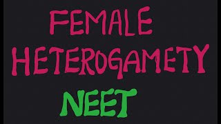 Female heterogamety NEET [upl. by Aeikan]