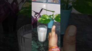 Custard apple  sitafal  sugar apple cooking easyrecipe shortvideo  subscribe [upl. by Tterej]