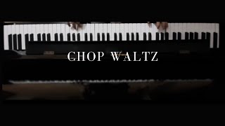 The Celebrated Chop Waltz Chopsticks [upl. by Annaer331]