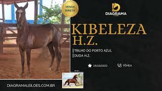 KIBELEZA H Z [upl. by Neyuh]