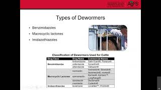 Best Practices for Deworming Cattle [upl. by Atikam15]