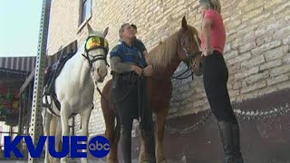 Meet the officers of the Austin Police Departments Mounted Patrol Unit  KVUE [upl. by Merril599]