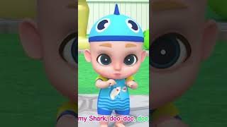 The Baby Shark Family 💖🦈👏 shorts babyshark nurseryrhymes 2 [upl. by Phio665]