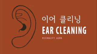 귀청소 asmr EAR CLEANING ASMR NO TALKING ASMR [upl. by Anafetse558]