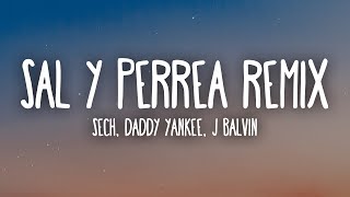 Sech Daddy Yankee J Balvin  Sal y Perrea Remix LetraLyrics [upl. by Henni]