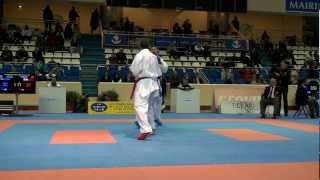 Karate1 PL Paris 2013  Kumite male 84 FINAL  ARKANIA vs REIS [upl. by Lavinia680]