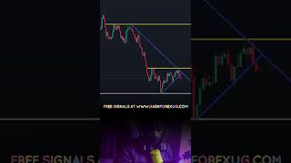 Forex Trading for Beginners Master the Basics and Start Making Profits [upl. by Georgiana487]