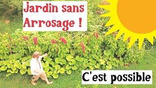 Un potager sans arrosage cest possible [upl. by Joletta]