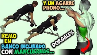 EJERCICIO Para DORSALES 📢 El REMO En BANCO INCLINADO Con MANCUERNAS Y Un AGARRE PRONO  ESPALDA [upl. by Adnorahc]