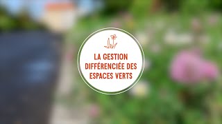 La gestion différenciée sinvite dans les espaces verts [upl. by Aseek]