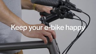 Bike checks amp care — Basic bike maintenance  Ampler EBike Tips [upl. by Adniuqal]