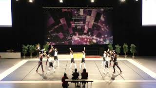 ROCKNSWINGCOM » Dance Explosion » Lady Formation » German Championship Bochum 2023 [upl. by Yornek476]