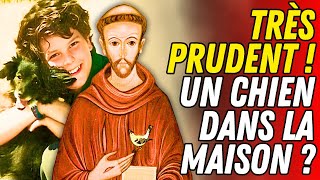 Choquant  ce que saint François dAssise a prédit à ceux qui ont un chien à la maison [upl. by Milty]