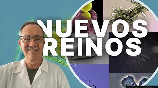 NUEVOS REINOS 👑 🦜 ¿CUÁL ES LA NUEVA CLASIFICACIÓN DE LOS REINOS DE LA NATURALEZA [upl. by Llereg995]