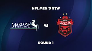 NPL Men’s NSW Round 1 Marconi Stallions FC v Wollongong Wolves FC [upl. by Lled]