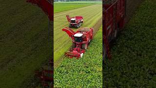 Vervaet Agrifac 😎😎 agriculture farming tractor landwirtschaft agro FlyingPixelsPhotography [upl. by Ahsiemak]