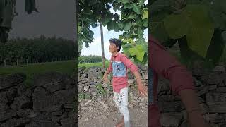 weeke bhuriya teamli song gana 2024 ka naya timli song DJ 2024 [upl. by Fabiano]