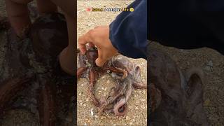 🐙Rescue mission Successfully saved 4 octopus friends 🥺 [upl. by Aekin]