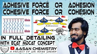 Cohesive Force  Adhesive force  Cohesion  Adhesion  Aasan Chemistry Sir Irfan Sheikh [upl. by Jarek]