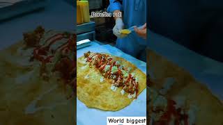 World biggest zinger rollzingerrollparatha food foodie streetfood shorts youtubeshorts 1k [upl. by Marve]