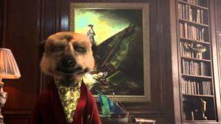 quotSpring Cleanquot commercial for comparethemeerkatcomau by Aleksandr Orlov Official Australias [upl. by Nothsa48]