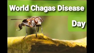 World Chagas Diseaes Day  Complete Guide of Trypanosomiasis  Sleeping Sickness Tropical Disease [upl. by Beverly]